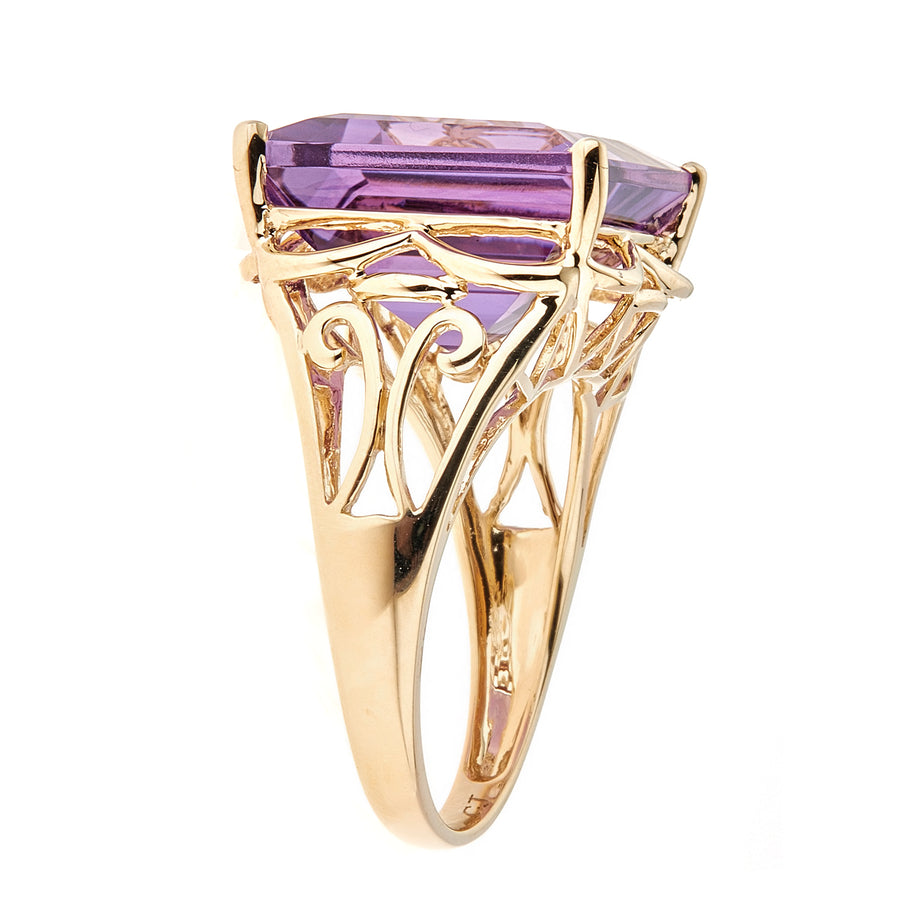 Ashlyn 10K Yellow Gold Princess-Cut Brazilian Amethyst Ring